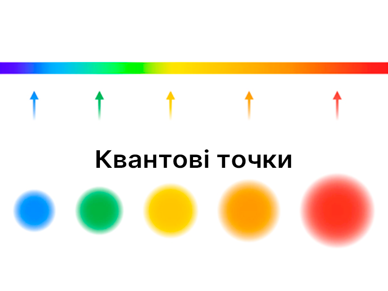 Книга оргазма [Катерина Януш] (fb2) читать онлайн