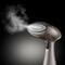 Фото - Відпарювач Russell Hobbs 28040-56 Steam Genie Aroma | click.ua