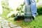 Фото - Триммер Bosch EasyGrassCut 26 (06008C1J01) | click.ua
