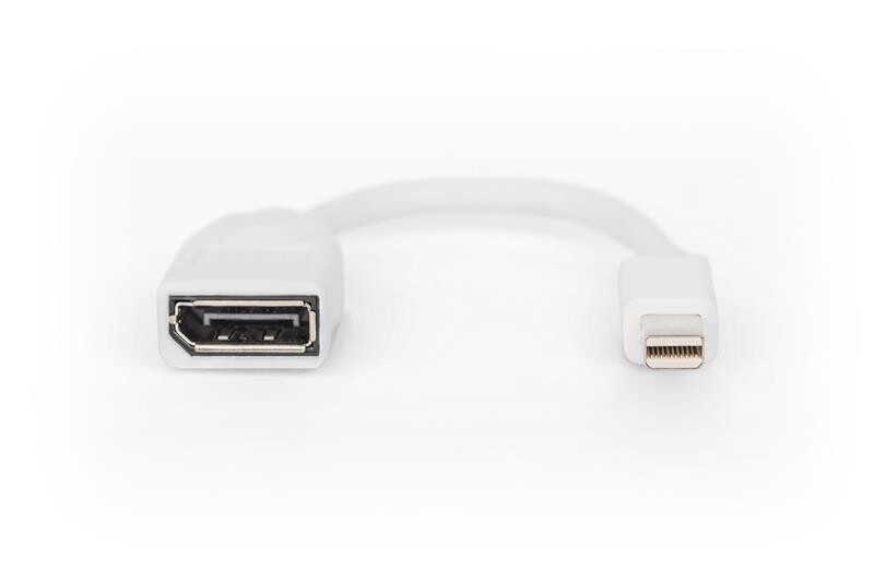 Переходник Digitus mini DisplayPort - DisplayPort (M/F), 0.15 м, White (DB-340405-001-W)
