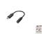 Фото - Адаптер Hama 3.5 мм - USB Type-C (F/M), Black (205262) | click.ua