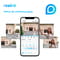 Фото - Видеозвонок Reolink Video Doorbell WiFi | click.ua