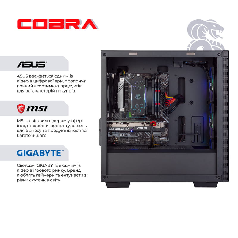 Персональний комп`ютер COBRA Gaming (A76.64.H2S5.47T.17419)