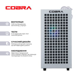 Персональний комп`ютер COBRA Gaming (A76.64.H2S5.47.17443)