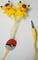 Фото - Навушники Optima Mp3 Pokemon Go "Pikachu Surprised with Pokeball" Yellow (OPT-HF-PKCH3) | click.ua