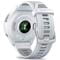 Фото - Смарт-годинник Garmin Forerunner 965 Titanium Bezel with Whitestone Case and Whitestone/Powder Gray Silicone Band (010-02809-81) | click.ua