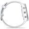 Фото - Смарт-годинник Garmin Forerunner 965 Titanium Bezel with Whitestone Case and Whitestone/Powder Gray Silicone Band (010-02809-81) | click.ua