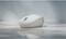 Фото - Миша бездротова Microsoft Ocean Plastic BT White (I38-00009) | click.ua