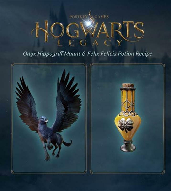 Игра Hogwarts Legacy для Sony PlayStation 4, Blu-ray (5051895413418)