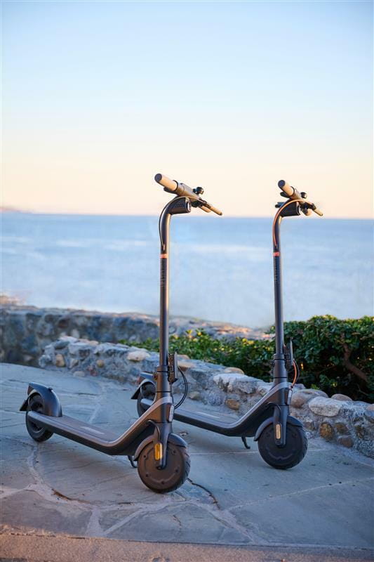 Электросамокат Segway Ninebot E2 E (AA.00.0013.13)