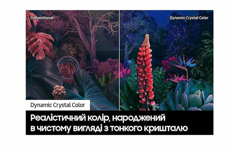 Телевизор Samsung UE55CU8000UXUA