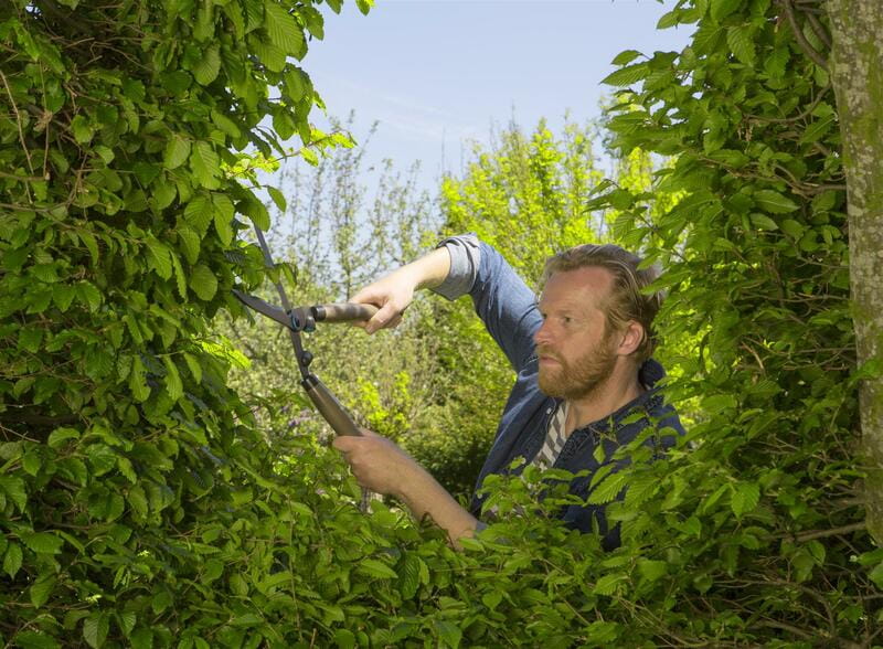 Ножницы для живой изгороди Gardena NatureCut (12300-20.000.00)