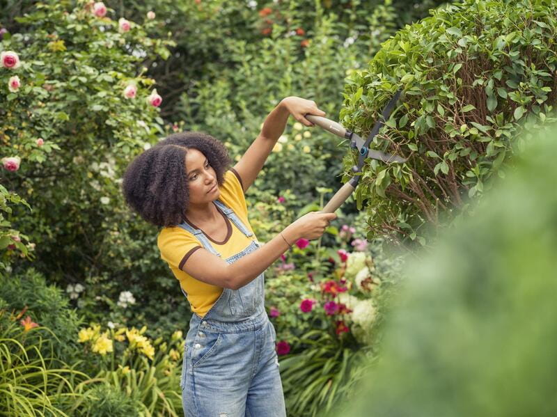 Ножницы для живой изгороди Gardena NatureCut (12300-20.000.00)