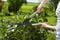 Фото - Ножницы для живой изгороди Gardena NatureCut (12300-20.000.00) | click.ua