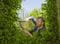 Фото - Ножницы для живой изгороди Gardena NatureCut (12300-20.000.00) | click.ua