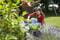 Фото - Совок для цветов ручной Gardena Classic Ergo, 8 см (08950-20.000.00) | click.ua