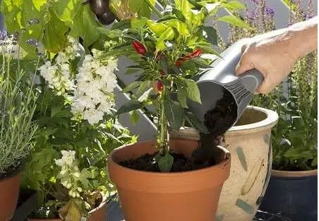 Комплект садовых инструментов Gardena Classic Ergo (арт.8950, 8754, 11511) с ковшом (08966-30.000.00)