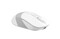 Фото - Миша бездротова A4Tech Fstyler FB10CS Grayish White USB | click.ua