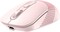 Фото - Миша бездротова A4Tech Fstyler FB10C Pink USB | click.ua