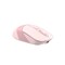 Фото - Миша бездротова A4Tech Fstyler FB10C Pink USB | click.ua