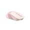 Фото - Мышь беспроводная A4Tech Fstyler FB10C Pink USB | click.ua