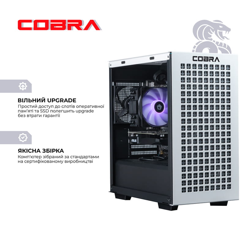 Персональный компьютер COBRA Gaming (A36.32.H2S10.67XT.A4131)