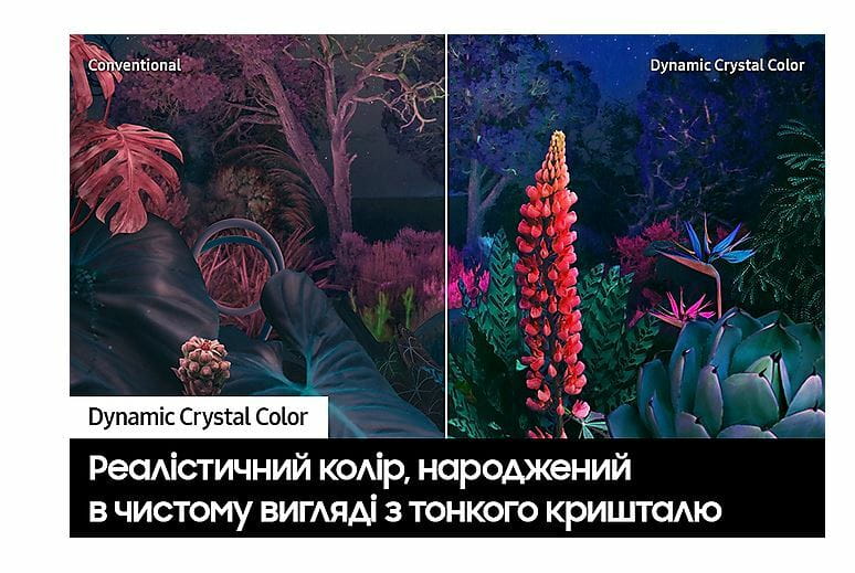 Телевизор Samsung UE65CU8000UXUA