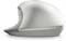 Фото - Мышь беспроводная HP Creator 930 WL Silver (1D0K9AA) | click.ua
