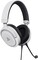 Фото - Гарнітура Trust GXT 498 Forta для PS5 White (24716) | click.ua