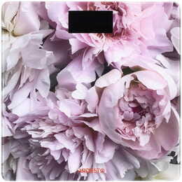 Ваги підлогові Ardesto SCB-965PEONIES