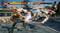 Фото - Игра Tekken 7 для Sony PlayStation 4, Russian subtitles, Blu-ray (3391891990882) | click.ua