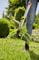 Фото - Інструмент Gardena для видалення бур`янів (03518-20.000.00) | click.ua