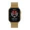 Фото - Смарт-часы iMiki SF1 Gold Magnetic Strap | click.ua