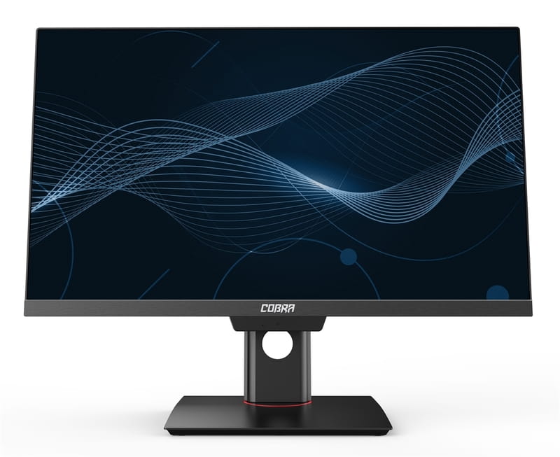 Моноблок COBRA D24-730P (CA24.HK4PP.I11.16.S2.N.WP.614) Win11 Pro Black