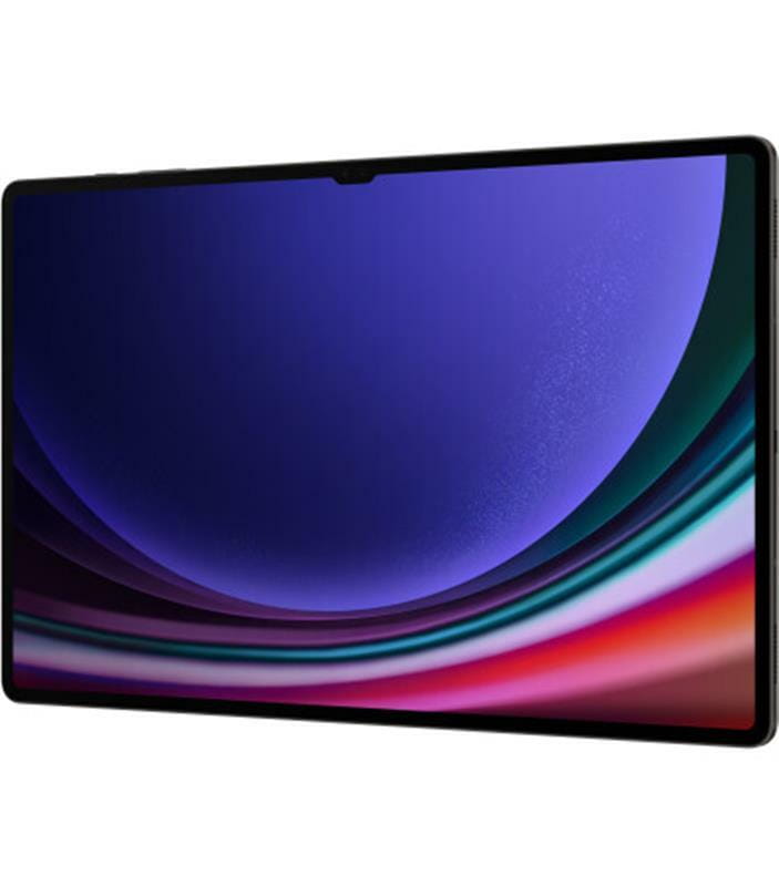 Планшет Samsung Galaxy Tab S9 Ultra 5G SM-X916 12/512GB Graphite (SM-X916BZAESEK)