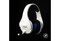 Фото - Гарнiтура HyperX Cloud Stinger Core Wireless для PS4\PS5 White (4P5J1AA) | click.ua