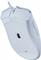 Фото - Мышь Razer DeathAdder Essential White (RZ01-03850200-R3M1) | click.ua