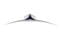 Фото - Монітор Samsung 49" Odyssey OLED G9 (LS49CG930SIXCI) Black/White Curved | click.ua