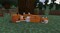 Фото - Игра Minecraft для Sony PlayStation 4, Russian version, Blu-ray (9704690) | click.ua