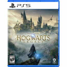 Игра Hogwarts Legacy для PlayStation 5, Russian Subtitles, Blu-Ray диск (5051895413425)_