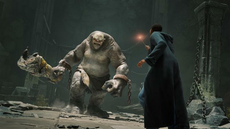Игра Hogwarts Legacy для PlayStation 5, Russian Subtitles, Blu-Ray диск (5051895413425)