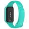 Фото - Силіконовий ремінець BeCover для Xiaomi Redmi Smart Band 2 Marine-Green (709372) | click.ua