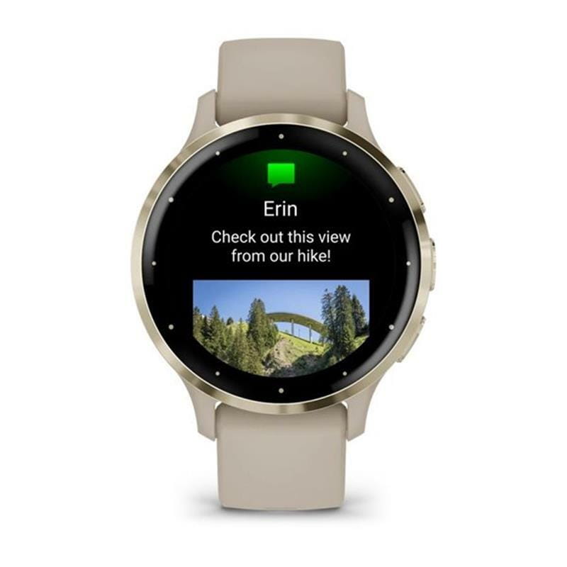 Смарт-часы Garmin Venu 3s Soft Gold Stainless Steel Bezel with French Gray Case and Silicone Band (010-02785-52)