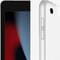 Фото - Планшет Apple A2604 iPad 10.2 (2021) Wi-Fi 4G 256GB Silver (MK4H3RK/A) | click.ua