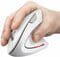 Фото - Миша бездротова Trust Verto Ergonomic White (25132) | click.ua