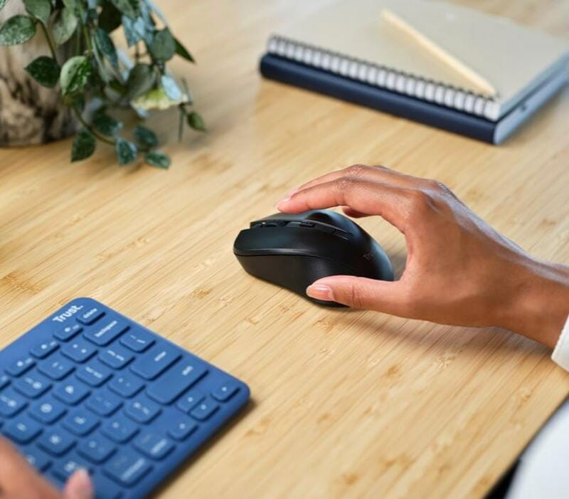 Мышь беспроводная Trust Mydo Silent Wireless Black (25084)