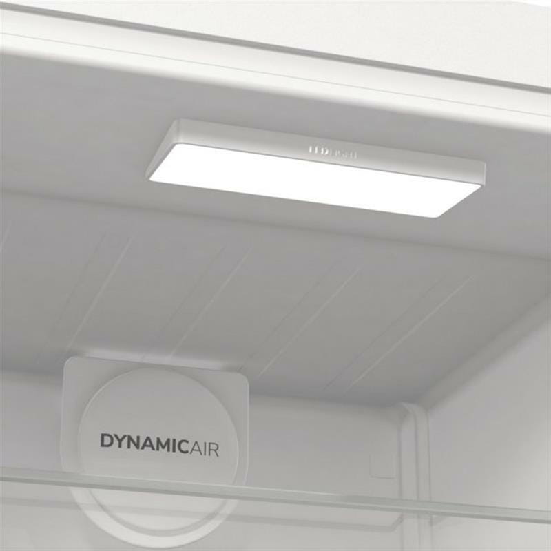 Холодильник Gorenje R619EAW6