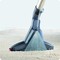 Фото - Миючий пилосос Thomas DryBOX Amfibia Family (788599) | click.ua