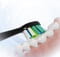 Фото - Насадка для зубної електрощітки Sencor SOX 102 2шт | click.ua