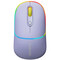 Фото - Мышь беспроводная Canyon MW-22 Dual Band RGB Wireless Mountain Lavender (CNS-CMSW22ML) | click.ua
